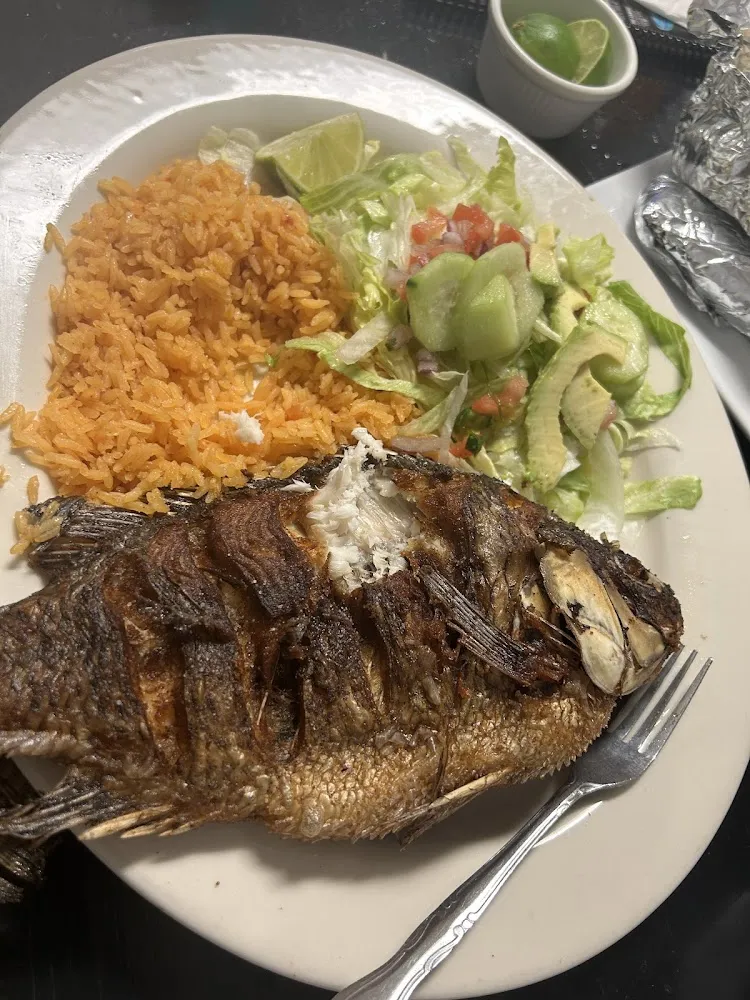 Tilapia